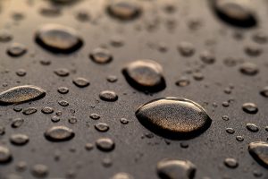 Water beads on the hood of a car are caused by surface tension.